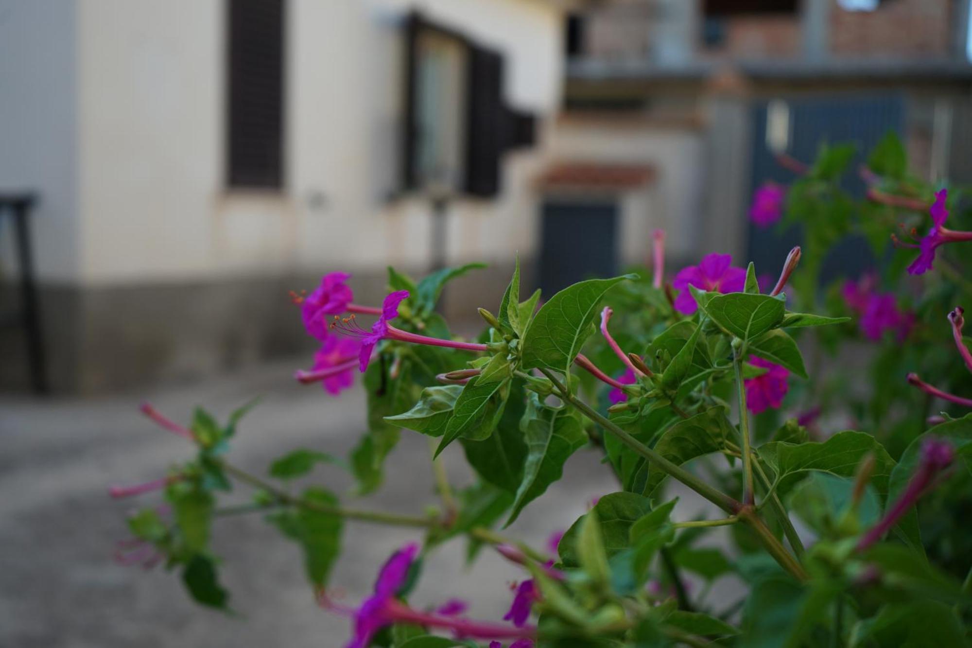 Loiacono Apartments 2 Caria Dış mekan fotoğraf